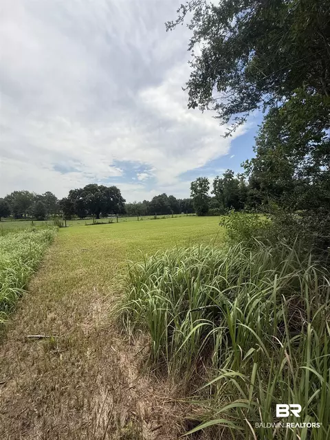 54 Hampton Ridge Ct, Mobile, AL 36608 photo 8