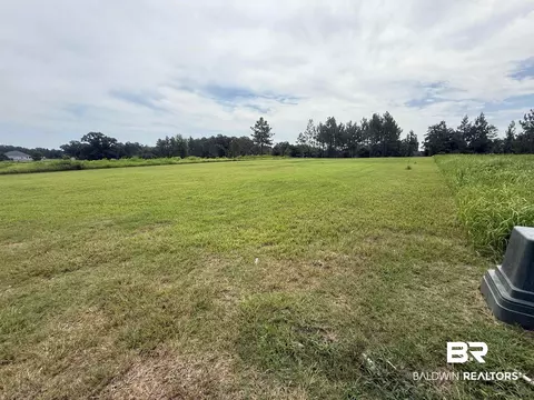 54 Hampton Ridge Ct, Mobile, AL 36608 photo 6