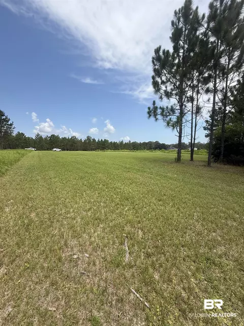 54 Hampton Ridge Ct, Mobile, AL 36608 photo 11