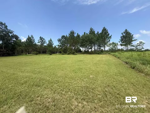 54 Hampton Ridge Ct, Mobile, AL 36608 photo 10