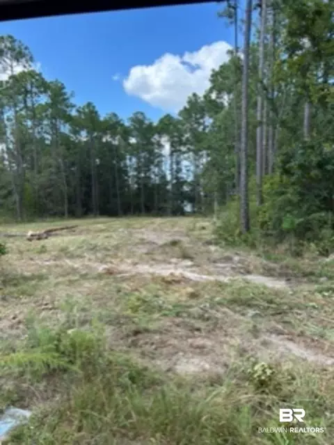 9030 Bay Point Dr, Elberta, AL 36530 photo 6