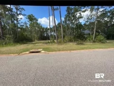 9030 Bay Point Dr, Elberta, AL 36530 photo 7