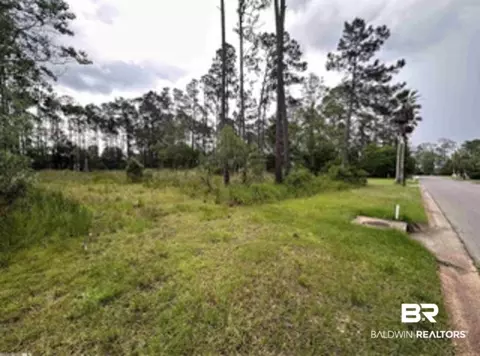 9030 Bay Point Dr, Elberta, AL 36530 photo 14