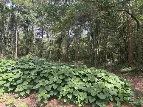 0 Autumn Ridge Dr, Mobile, AL 36695