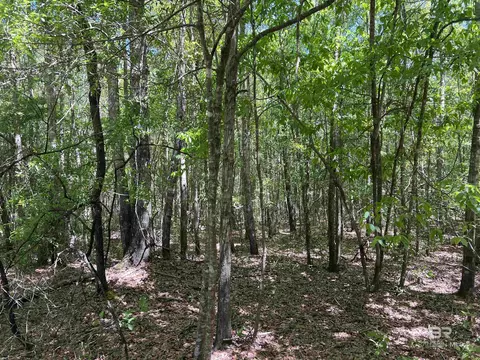 2610 Highway 4, Jay, FL 32565 photo 79