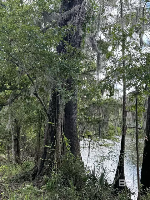2610 Highway 4, Jay, FL 32565 photo 61