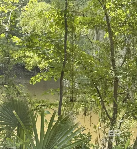 2610 Highway 4, Jay, FL 32565 photo 52