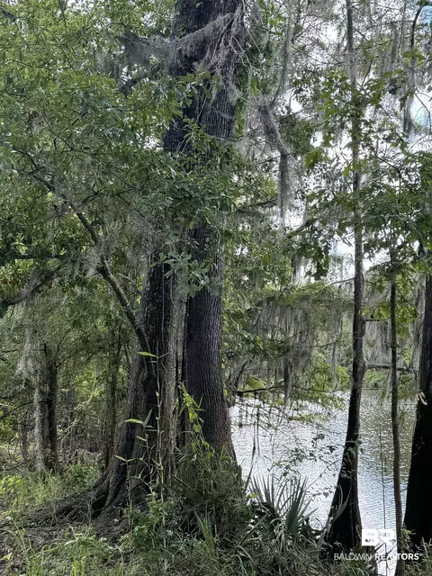 2610 Highway 4, Jay, FL 32565 photo 61