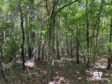2610 Highway 4, Jay, FL 32565 photo 79