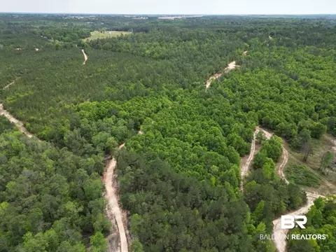 2610 Highway 4, Jay, FL 32565 photo 55