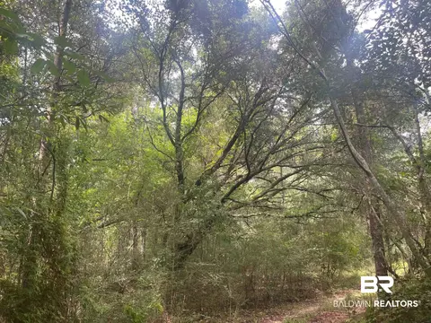 0 Mcdowell Rd, Bay Minette, AL 36507