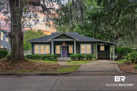 254 Park Ave, Mobile, AL 36607 photo 22
