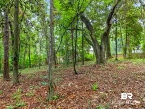 0 Grays Ln, Daphne, AL 36526 photo 4