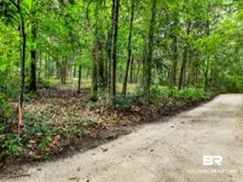 0 Grays Ln, Daphne, AL 36526 photo 3
