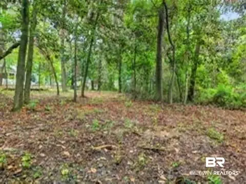 0 Grays Ln, Daphne, AL 36526 photo 6