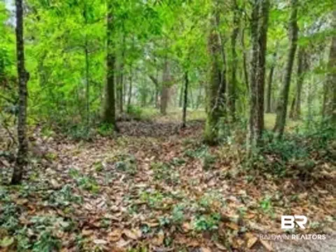 0 Grays Ln, Daphne, AL 36526 photo 7