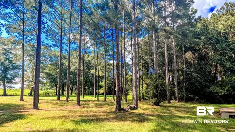 3050 Sam Sullivan Rd, Millry, AL 36558 photo 57