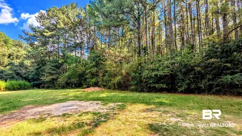 3050 Sam Sullivan Rd, Millry, AL 36558 photo 60