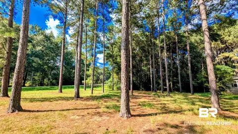 3050 Sam Sullivan Rd, Millry, AL 36558 photo 61