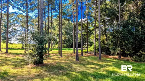 3050 Sam Sullivan Rd, Millry, AL 36558 photo 58