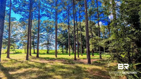 3050 Sam Sullivan Rd, Millry, AL 36558 photo 59