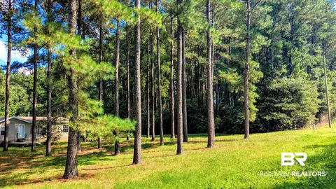 3050 Sam Sullivan Rd, Millry, AL 36558 photo 55