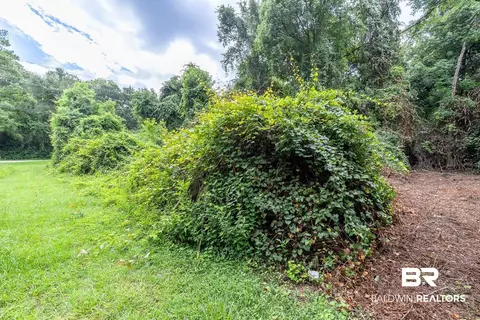 0 Main St, Daphne, AL 36526 photo 4
