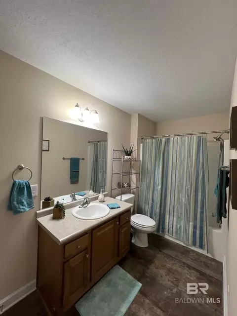 Bath - 10257 Lyttleton Loop, Lillian, AL 36549 photo 3 of 4
