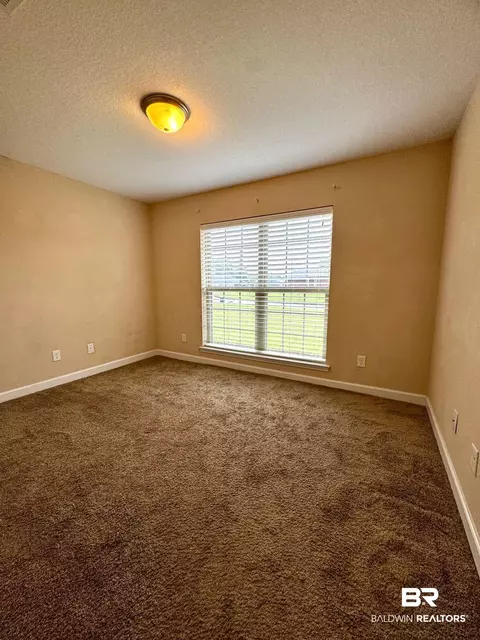 10257 Lyttleton Loop, Lillian, AL 36549 photo 20