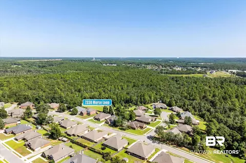 7330 Morse Loop, Mobile, AL 36619 photo 35