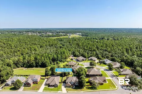 7330 Morse Loop, Mobile, AL 36619 photo 33