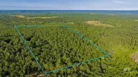 0 George Thomley Rd, Perdido, AL 36562