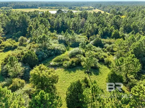 0 Stucki Rd, Elberta, AL 36530 photo 5