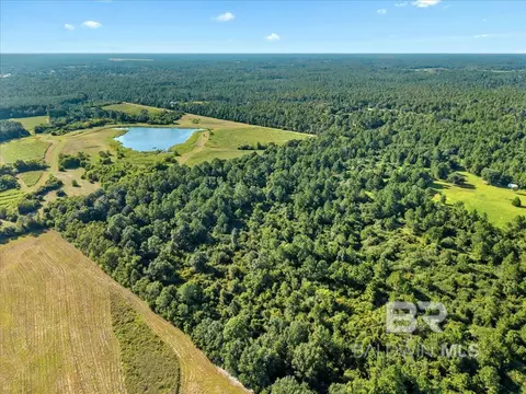 0 Stucki Rd, Elberta, AL 36530 photo 15