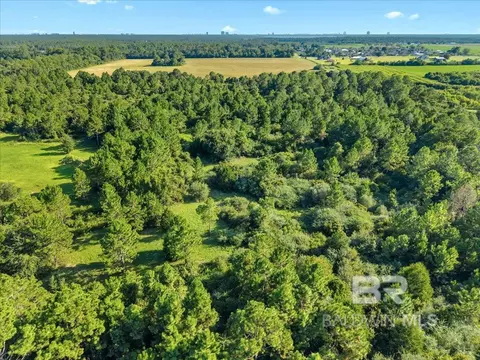 0 Stucki Rd, Elberta, AL 36530 photo 9