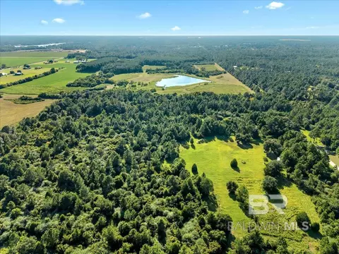 0 Stucki Rd, Elberta, AL 36530 photo 14