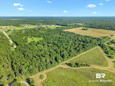 0 Stucki Rd, Elberta, AL 36530 photo 11
