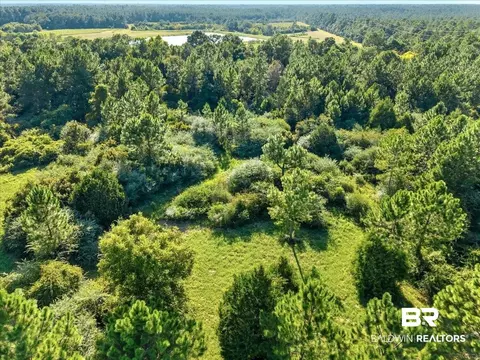 0 Stucki Rd, Elberta, AL 36530 photo 5