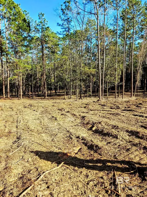 11040 County Road 138, Bay Minette, AL 36507