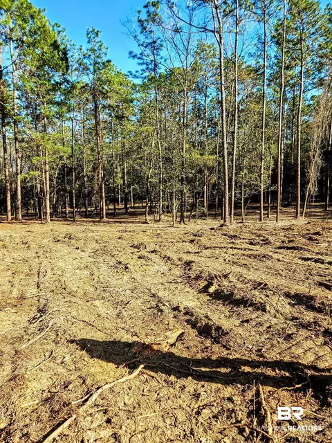 11040 County Road 138, Bay Minette, AL 36507