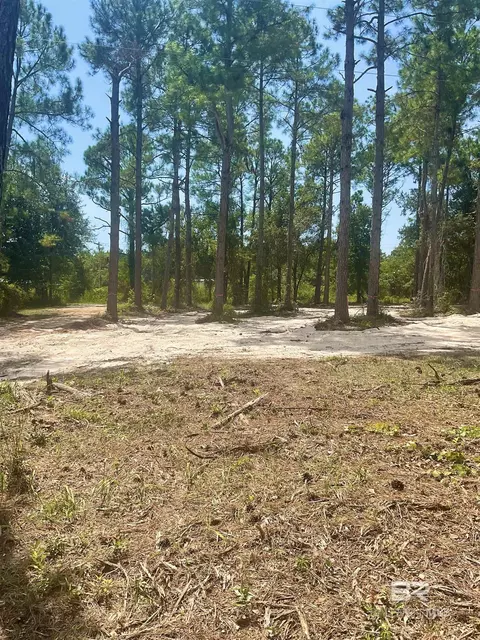 Robinson Lane, Gulf Shores, AL 36542