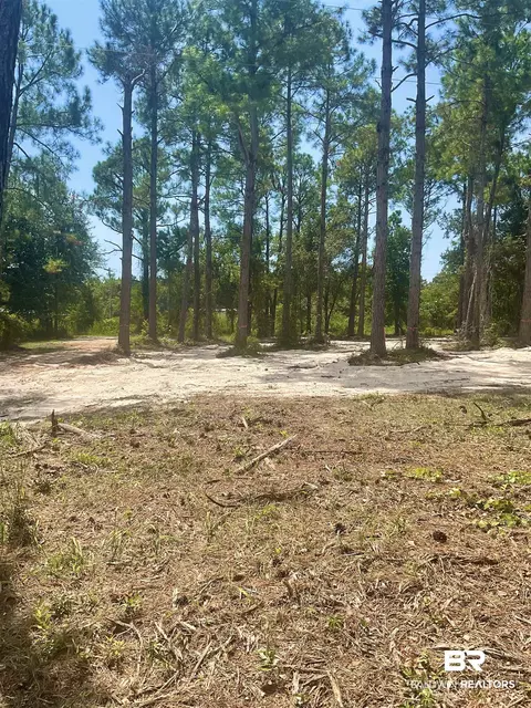 Robinson Lane, Gulf Shores, AL 36542