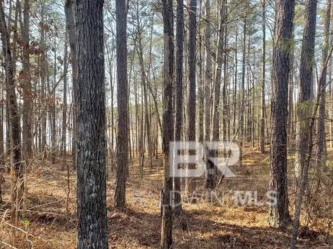 0 Stillwater Ln, Double Springs, AL 35553