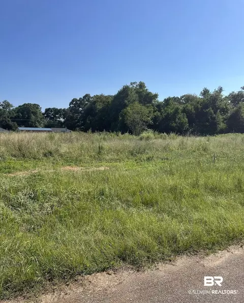 Brighton Drive, Chunchula, AL 36695 photo 4