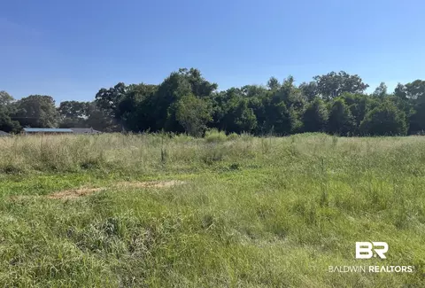 Brighton Drive, Chunchula, AL 36695 photo 3