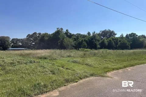 Brighton Drive, Chunchula, AL 36695 photo 2