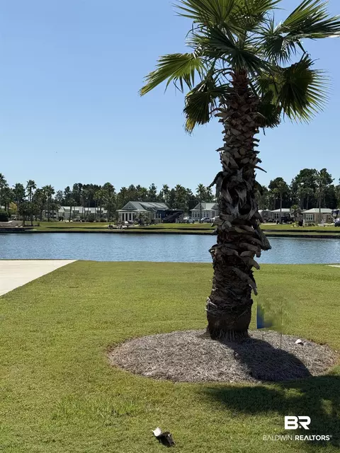 28086 Migratory Way, Elberta, AL 36530 photo 5