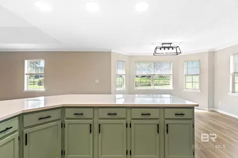 Other - 35650 N Spring Rd, Stapleton, AL 36578 photo 13 of 61