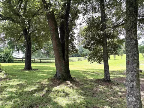 Other - 35650 N Spring Rd, Stapleton, AL 36578 photo 54 of 61
