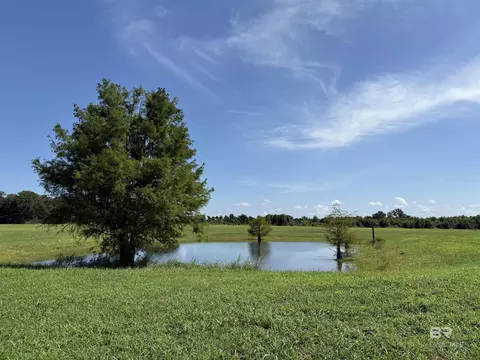 Weeks Road, Foley, AL 36535 photo 3